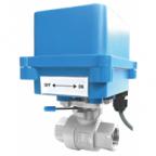 EMV_10