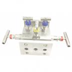 5-Way Valve Manifolds